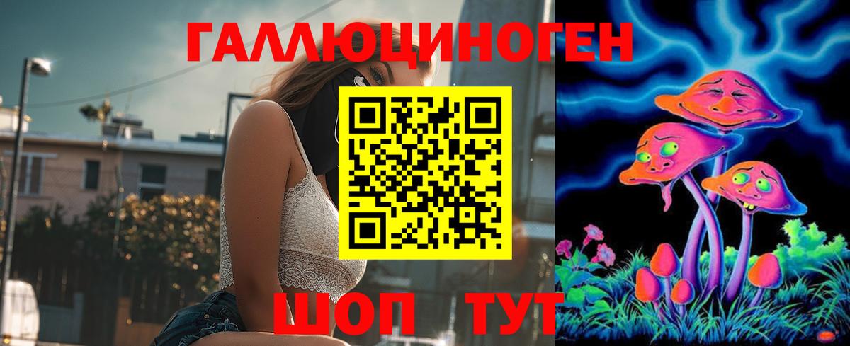 дарнет шоп  Псилоцибиновые грибы мицелий  Псилоцибиновые грибы мухоморы  Вход с VPN  Грязи 