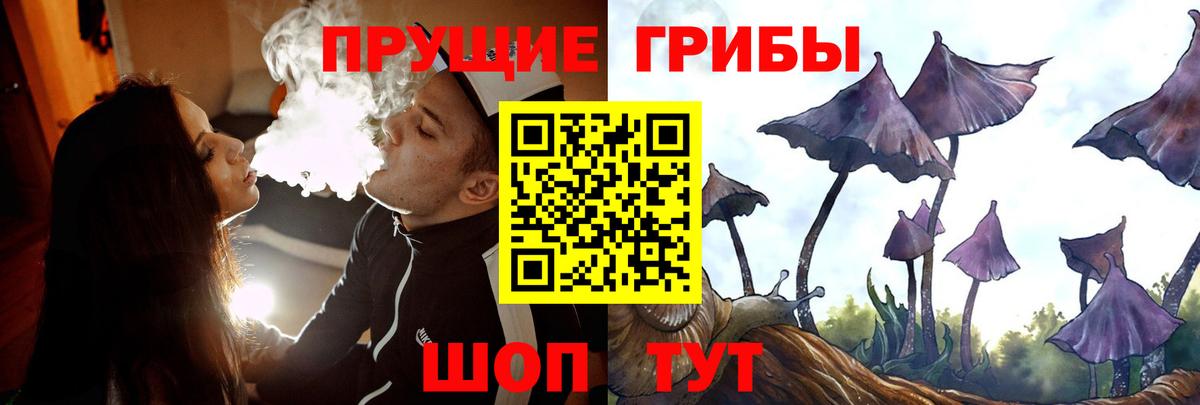 Галлюциногенные грибы GOLDEN TEACHER Грязи